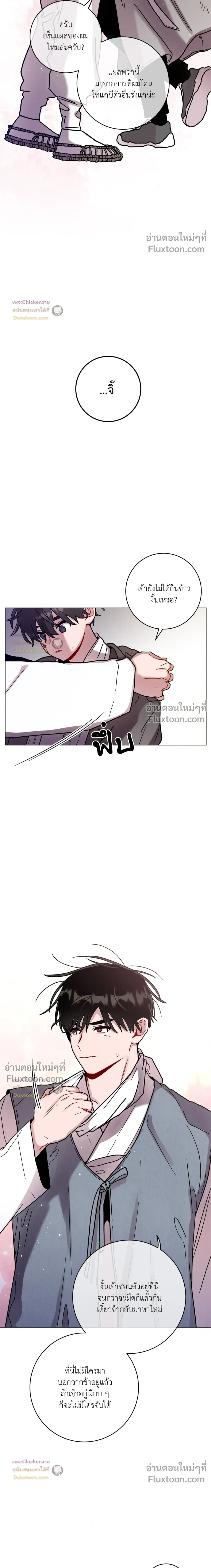 หน้าที่ 13