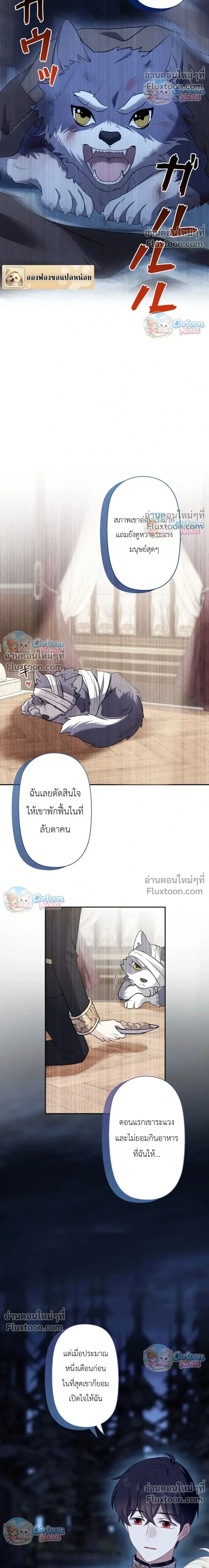 หน้าที่ 20