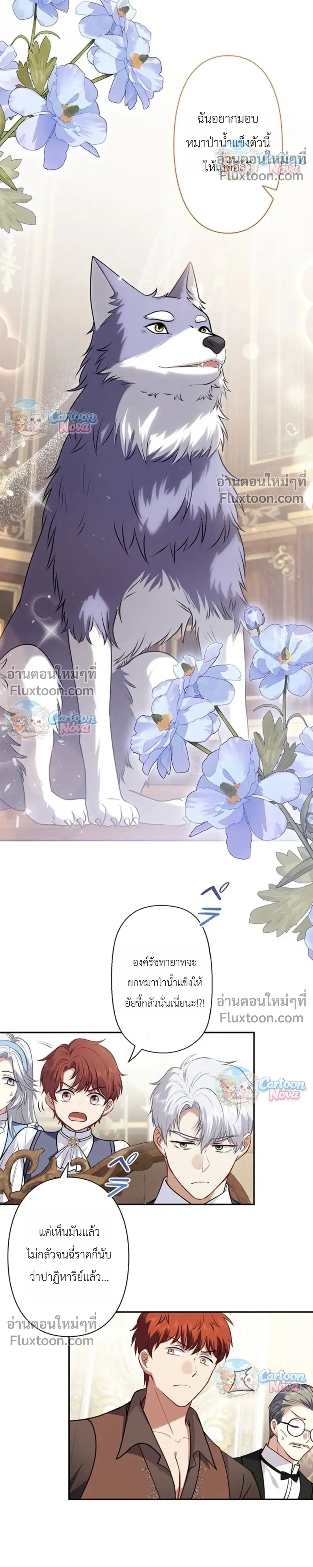 หน้าที่ 19