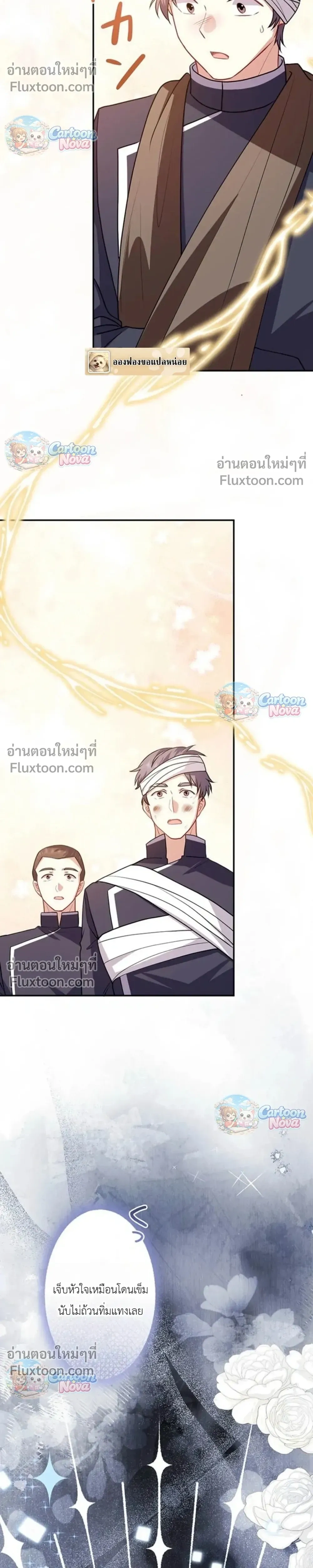 หน้าที่ 13