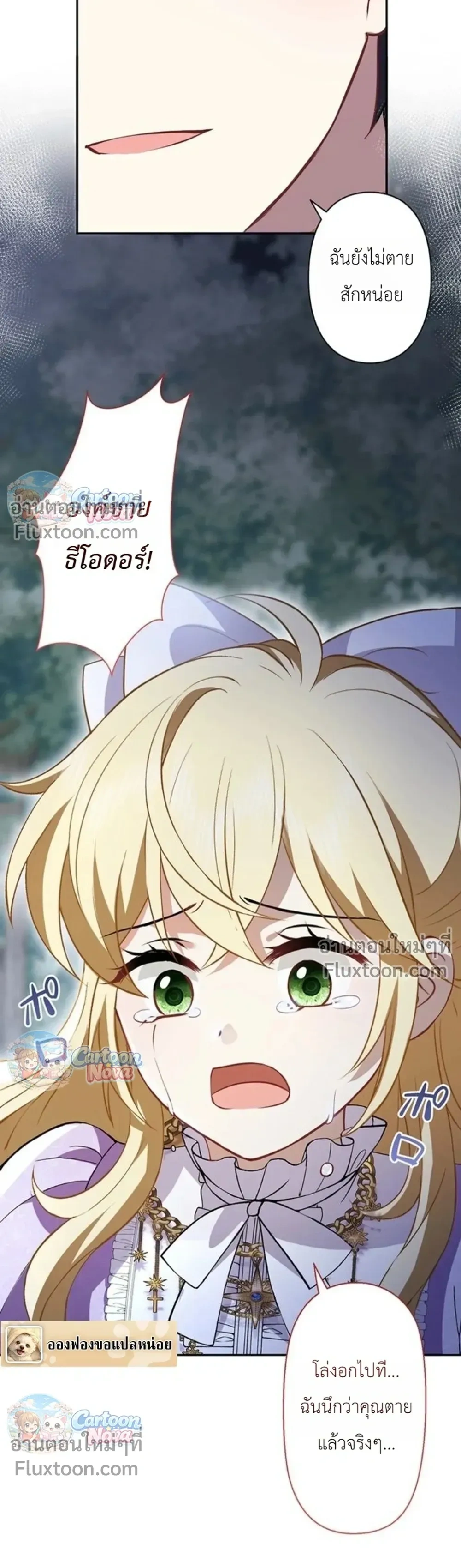 หน้าที่ 13