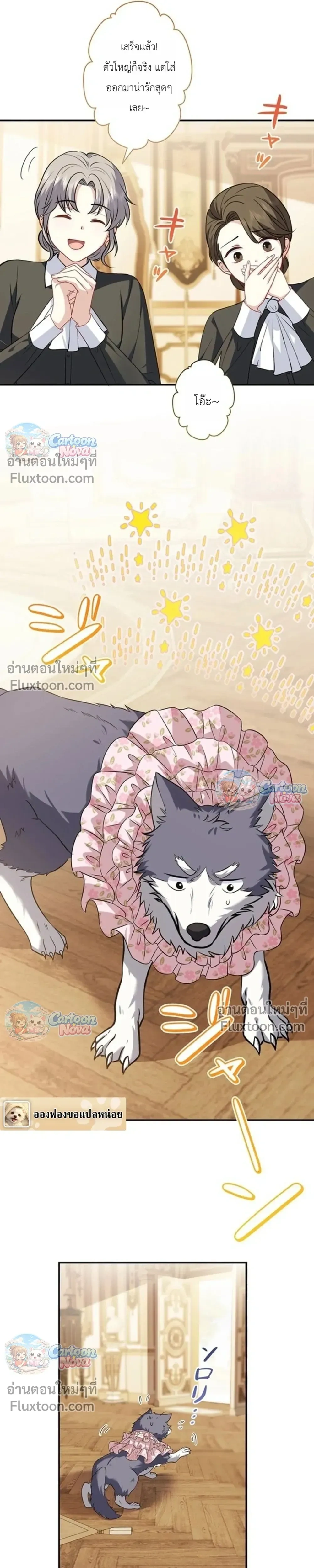 หน้าที่ 11