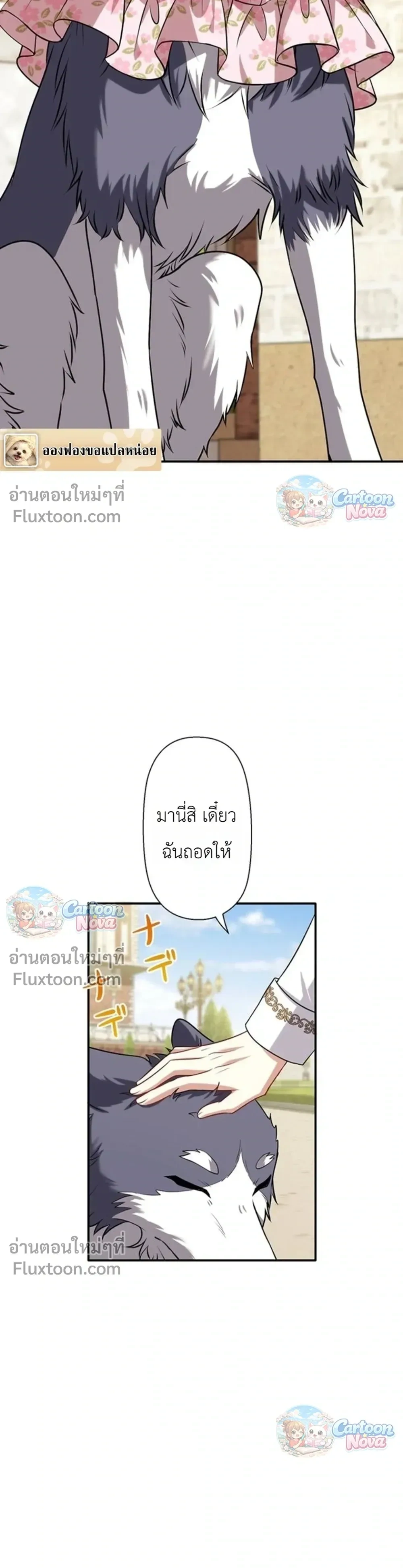 หน้าที่ 15