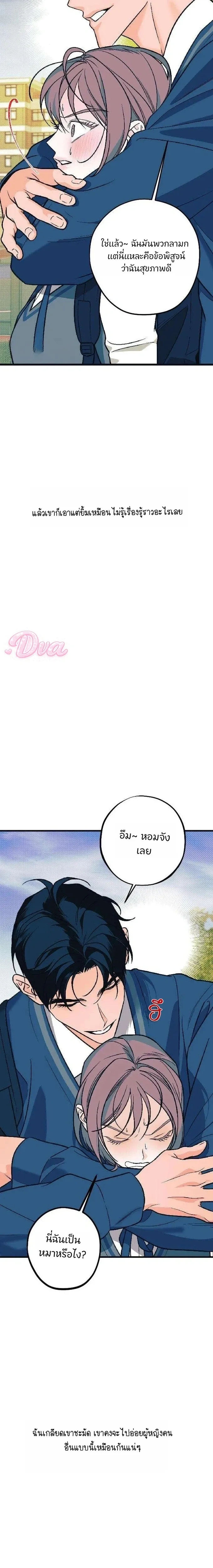 หน้าที่ 17