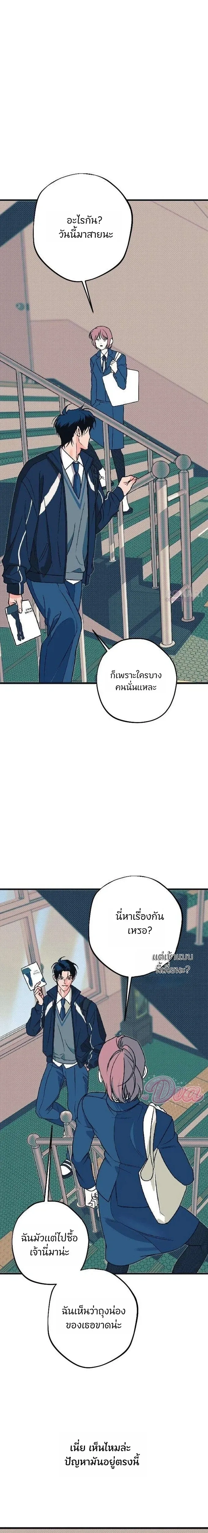 หน้าที่ 13