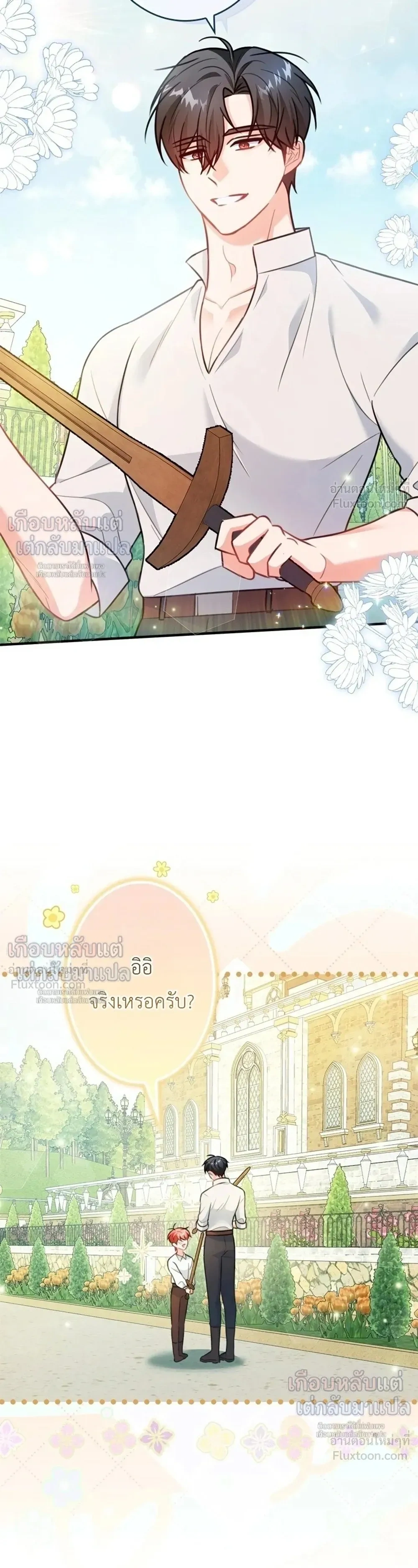 หน้าที่ 17