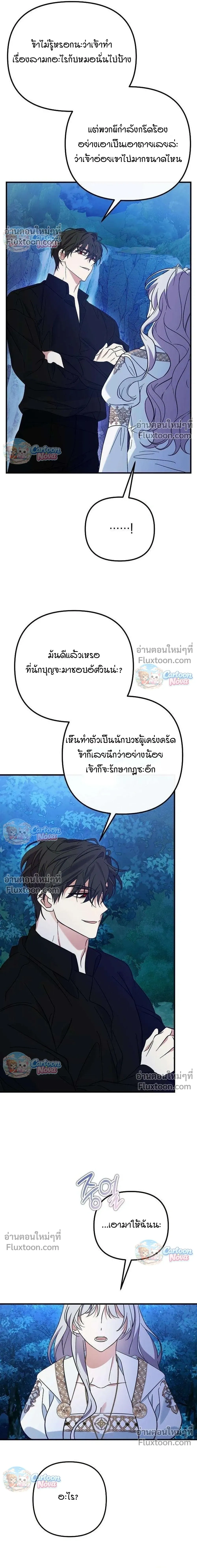 หน้าที่ 13