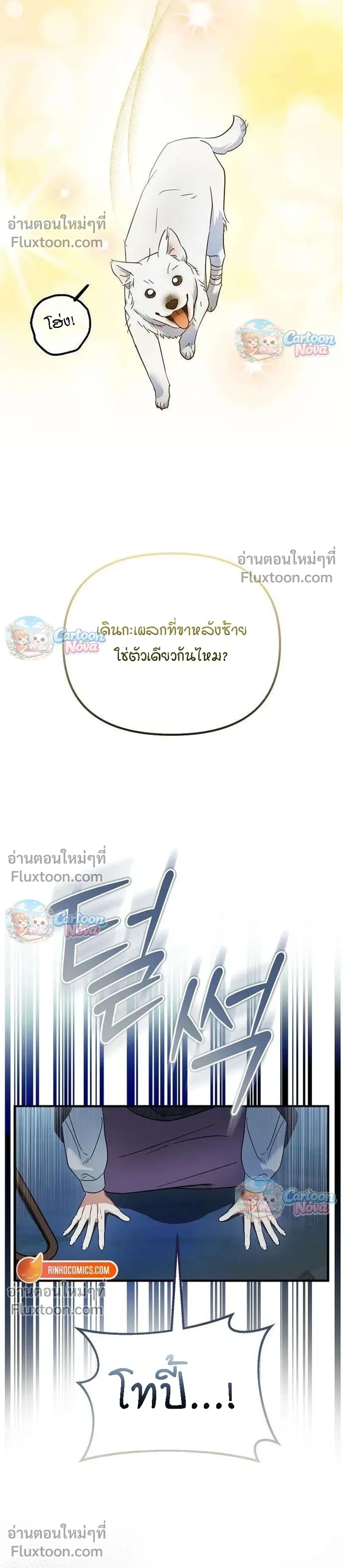 หน้าที่ 21