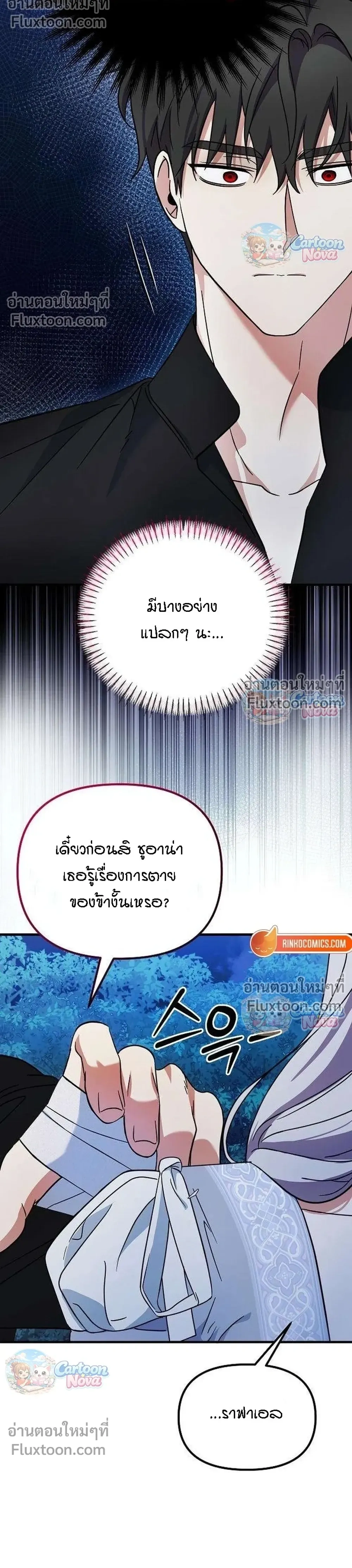 หน้าที่ 13