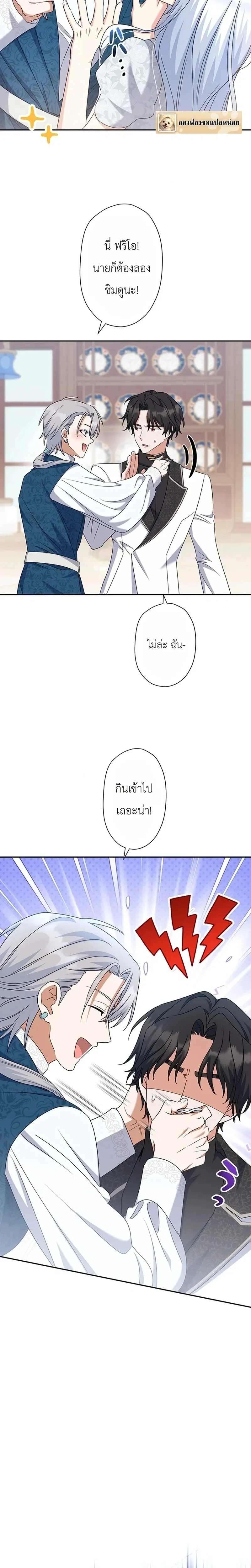 หน้าที่ 17
