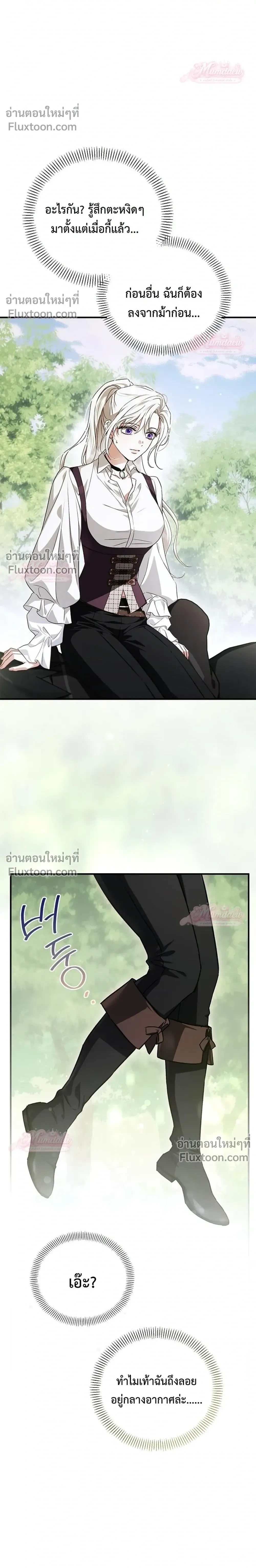 หน้าที่ 29
