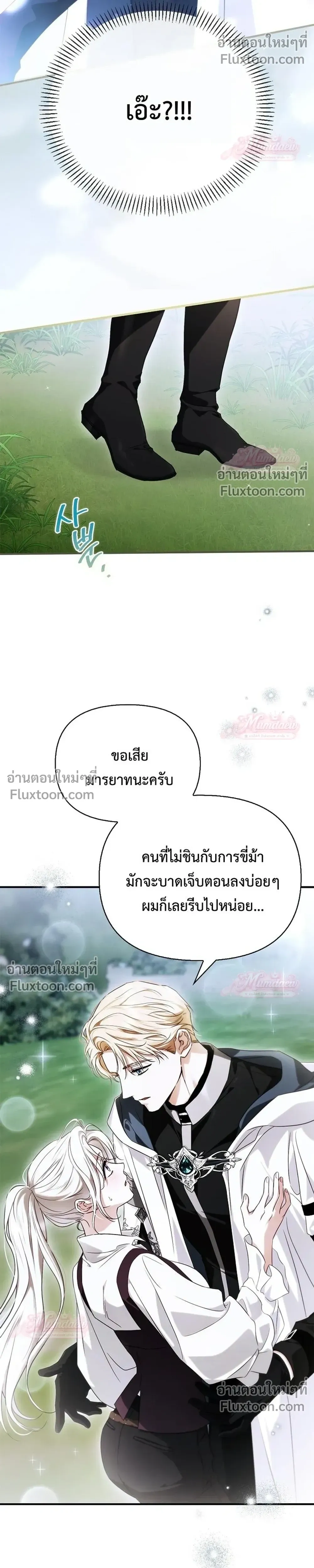 หน้าที่ 31