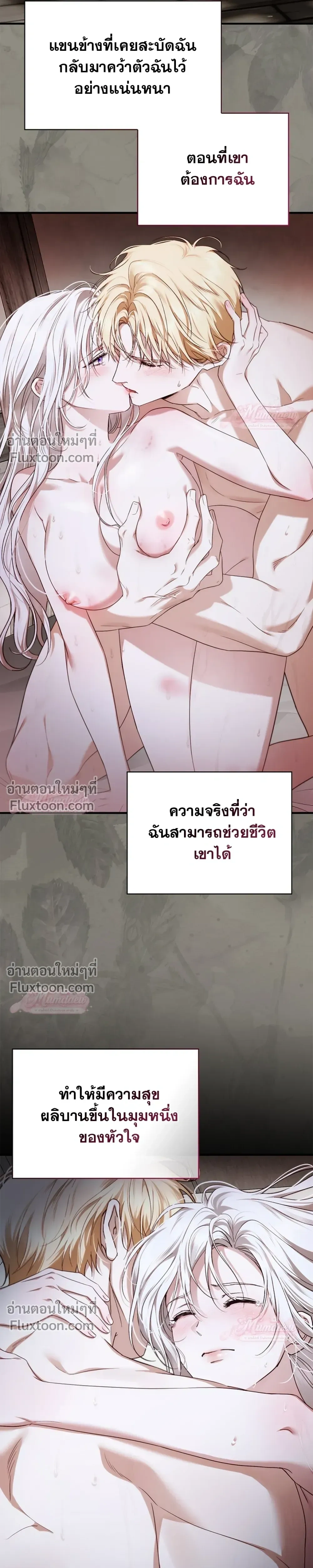 หน้าที่ 13