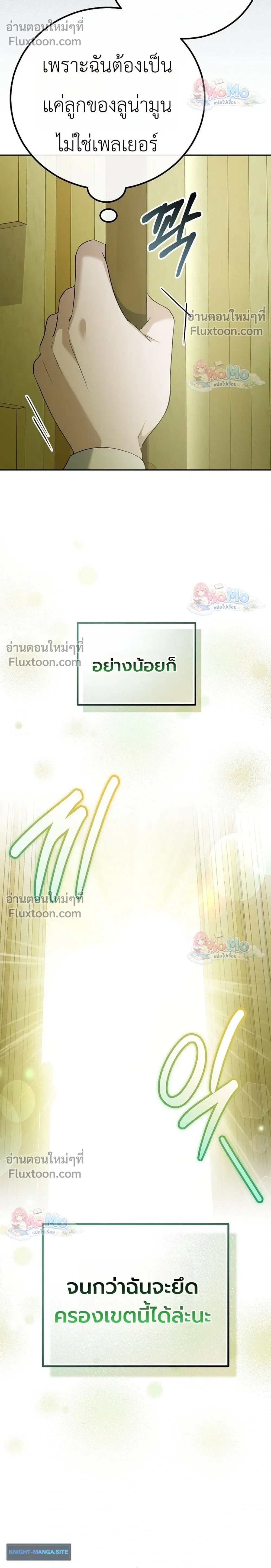 หน้าที่ 29