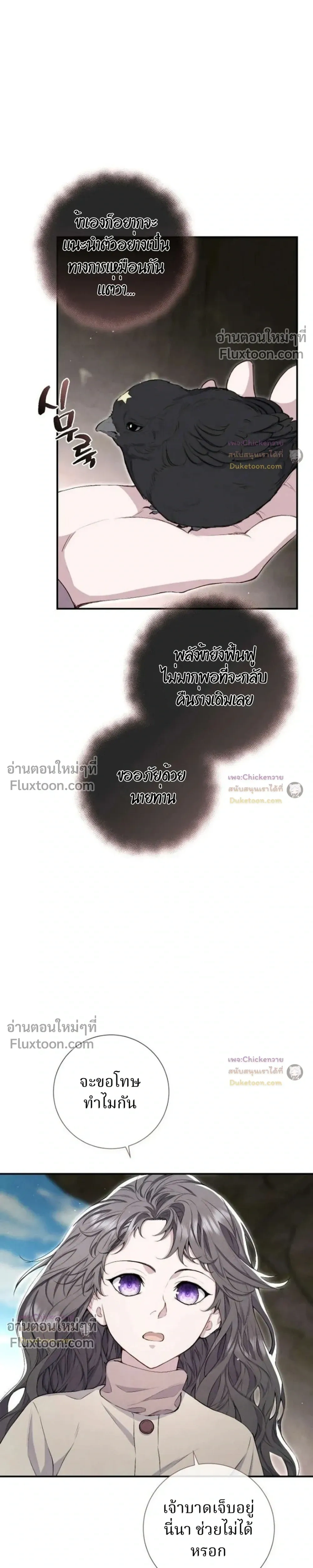 หน้าที่ 3