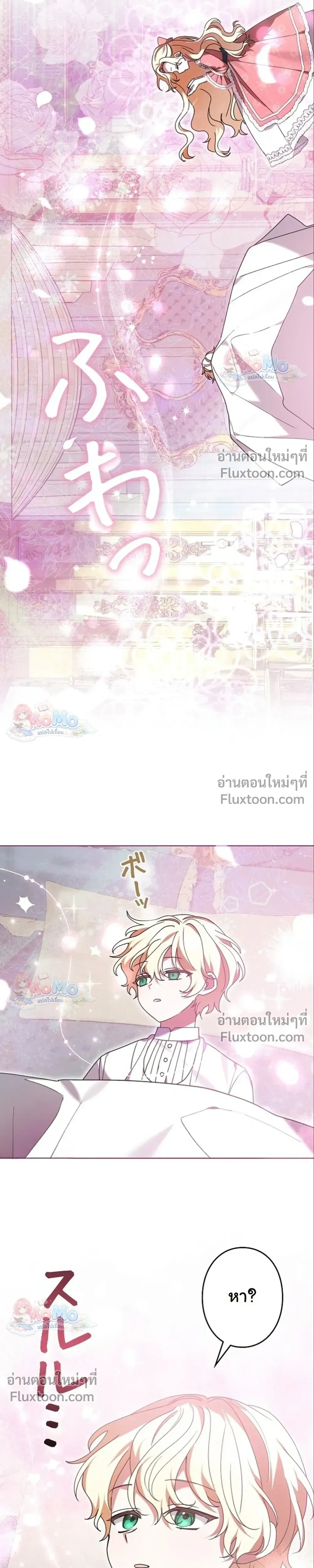 หน้าที่ 19