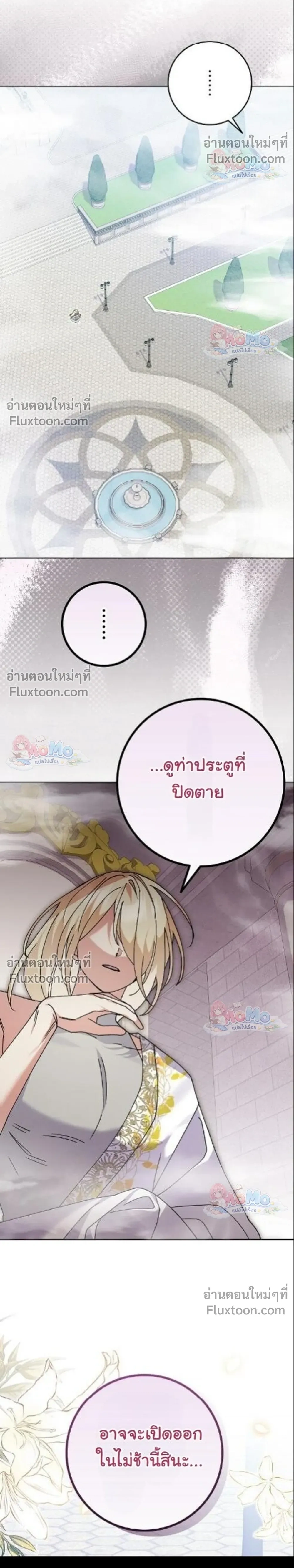 หน้าที่ 24