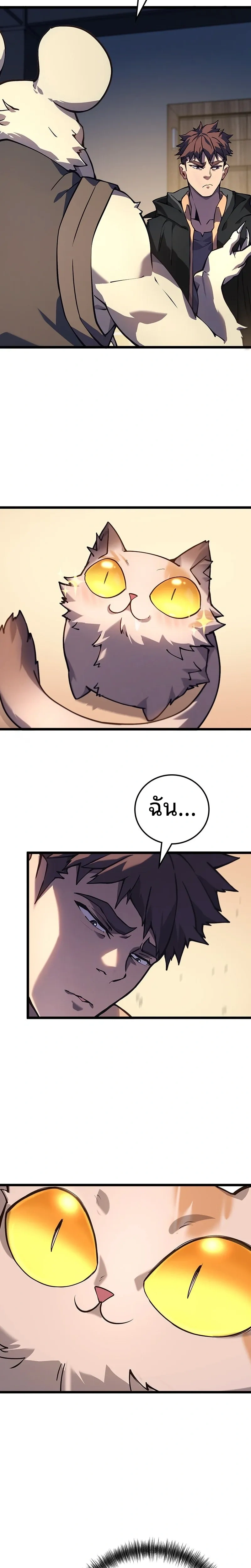 หน้าที่ 43