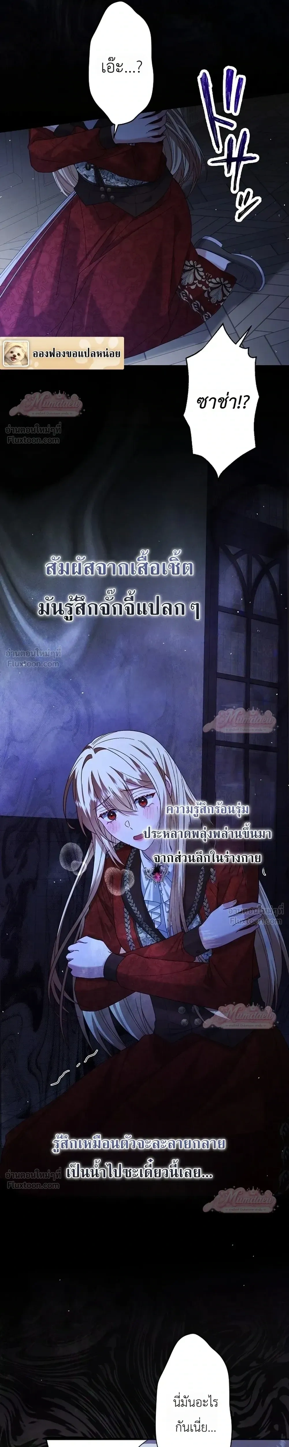 หน้าที่ 13