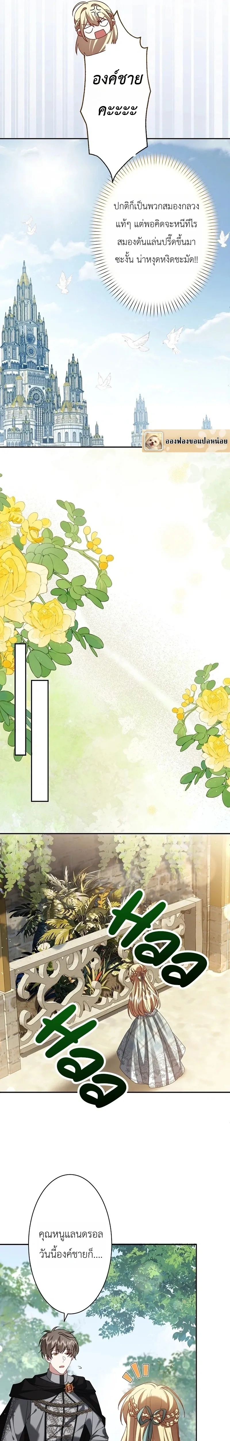 หน้าที่ 11