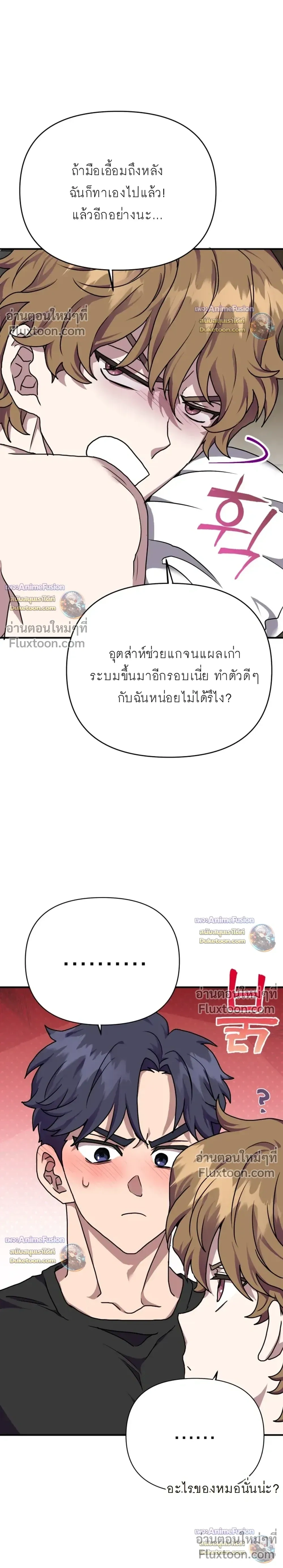 หน้าที่ 17