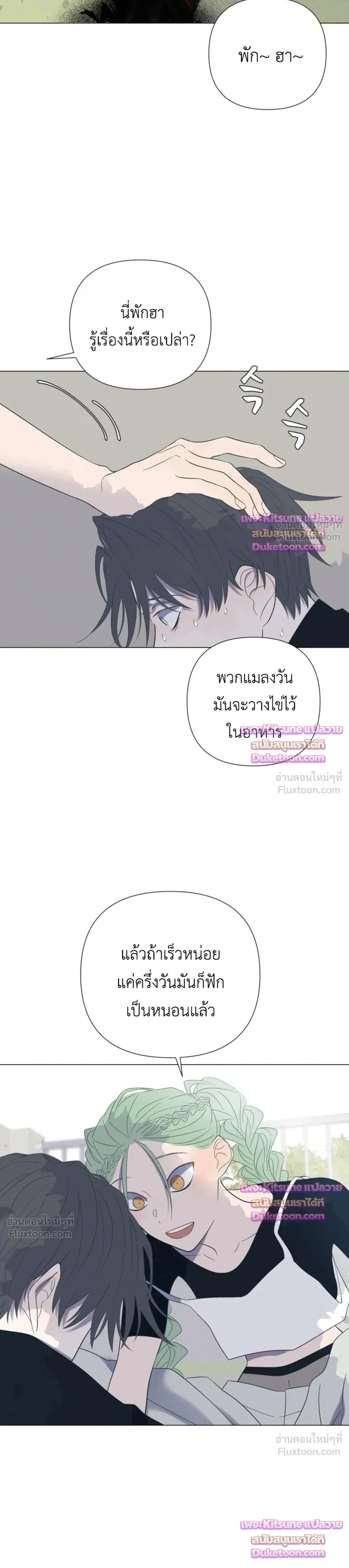 หน้าที่ 19
