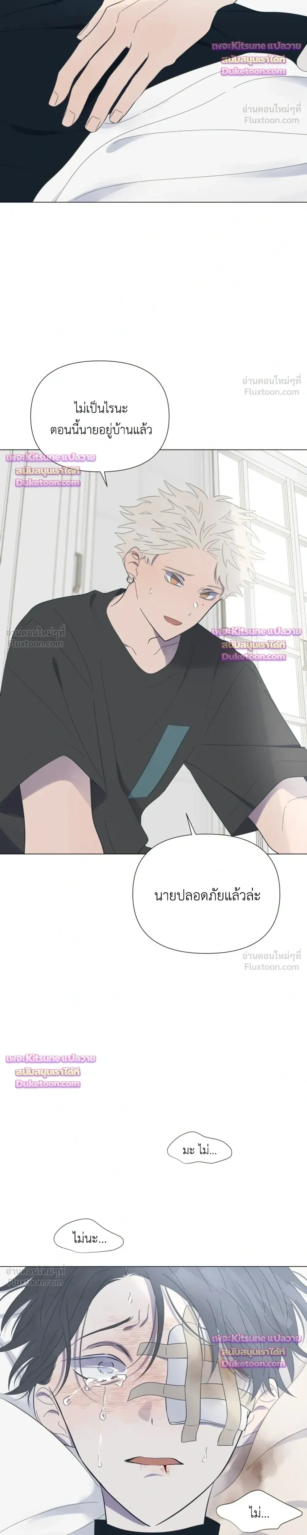 หน้าที่ 13