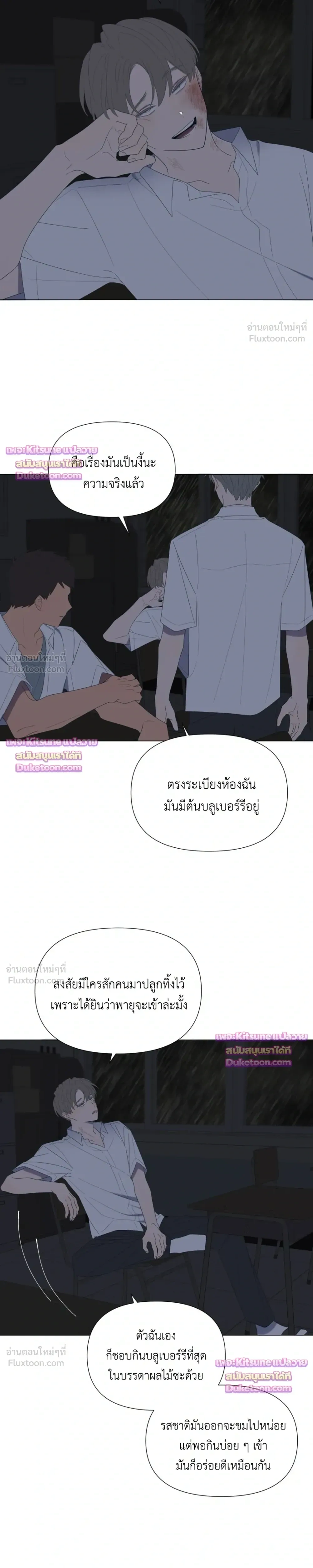 หน้าที่ 17