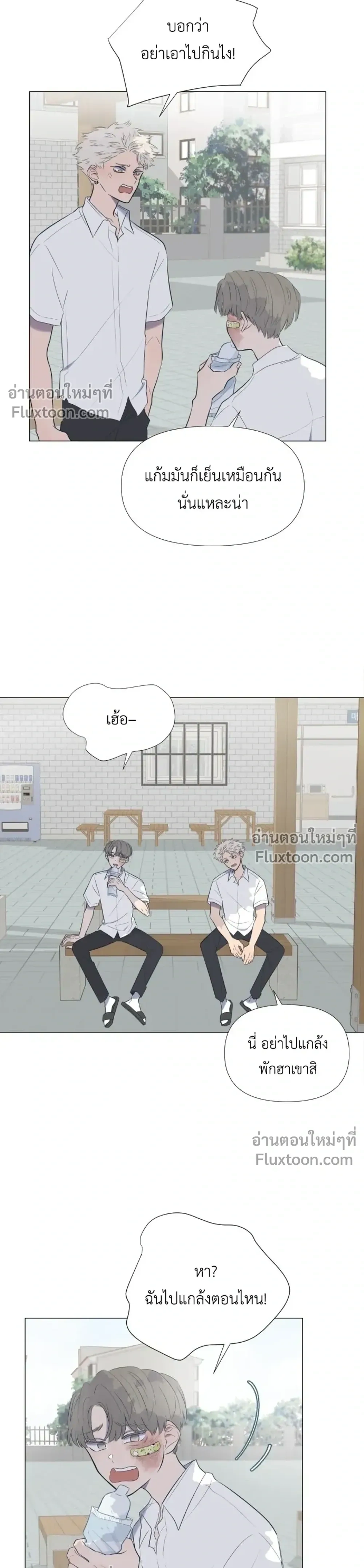 หน้าที่ 5