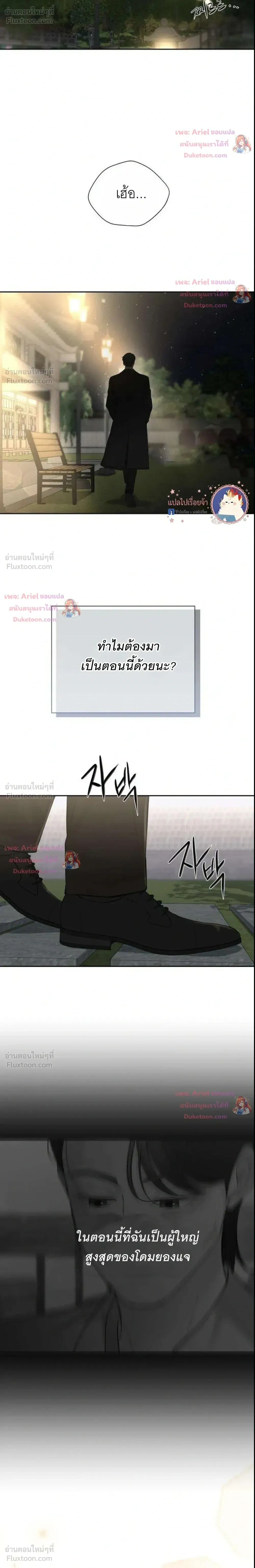 หน้าที่ 31
