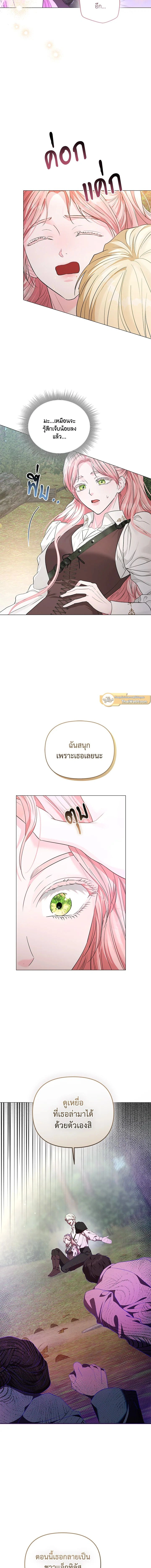 หน้าที่ 17