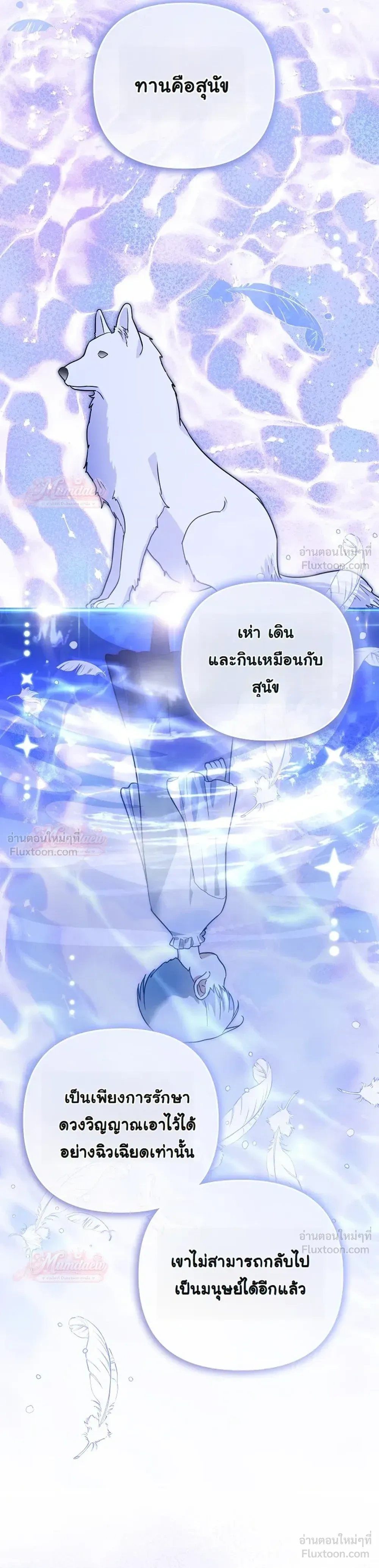 หน้าที่ 37