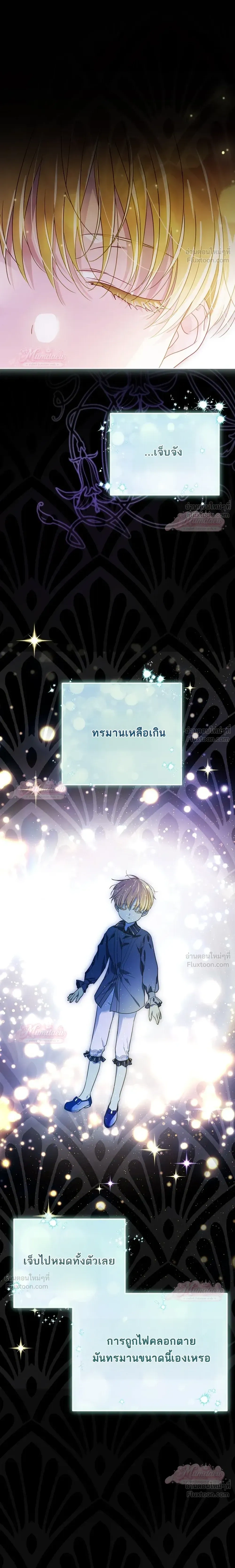 หน้าที่ 29