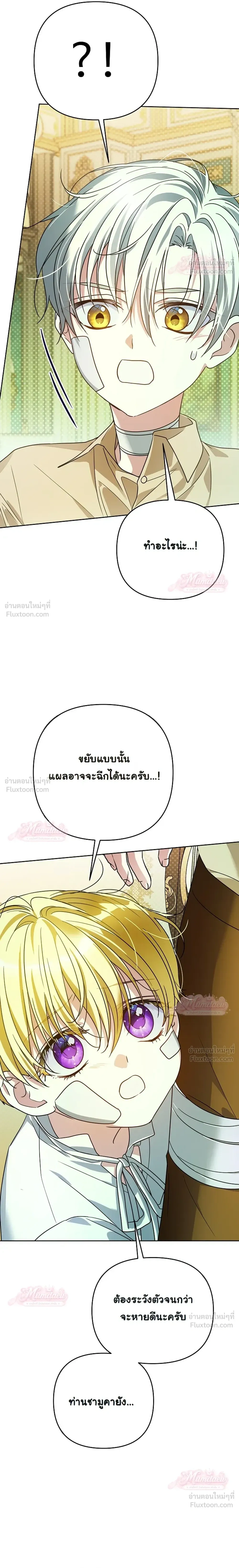 หน้าที่ 13