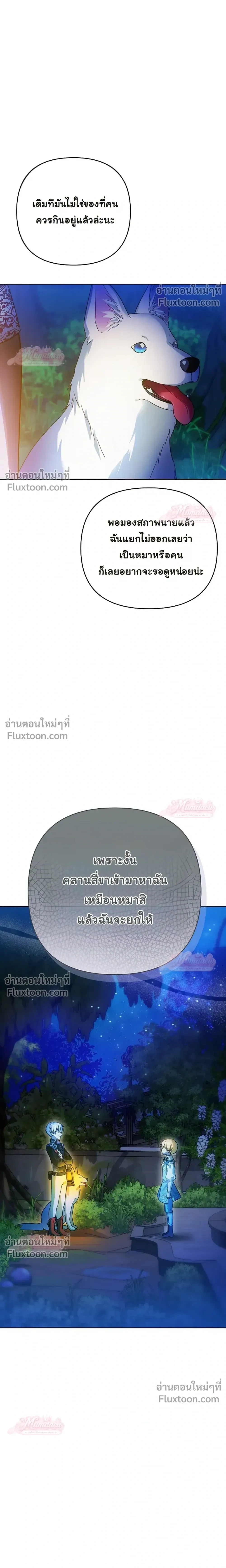 หน้าที่ 17