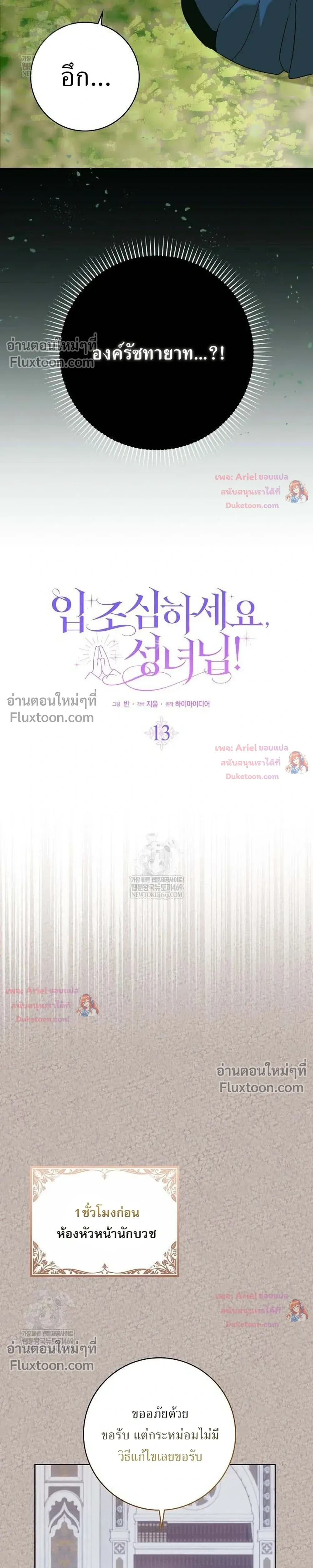 หน้าที่ 13