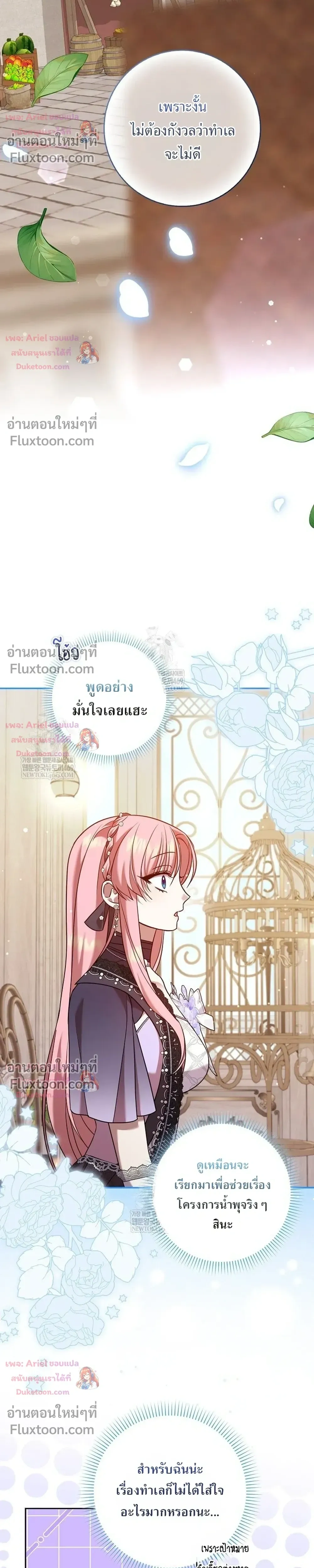 หน้าที่ 17