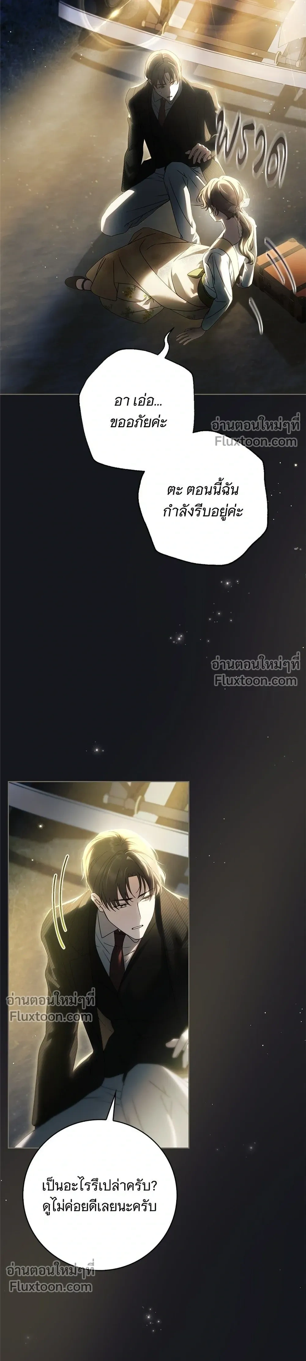 หน้าที่ 29