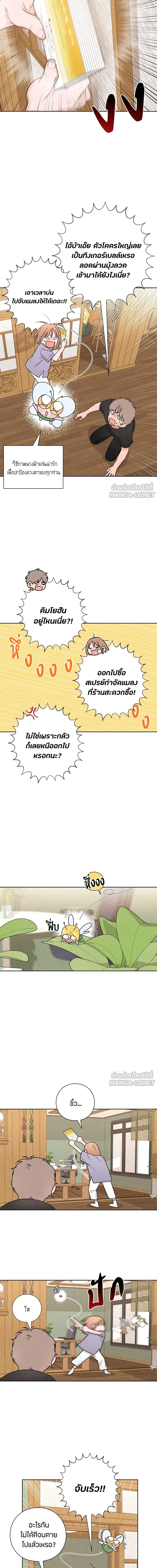 หน้าที่ 11
