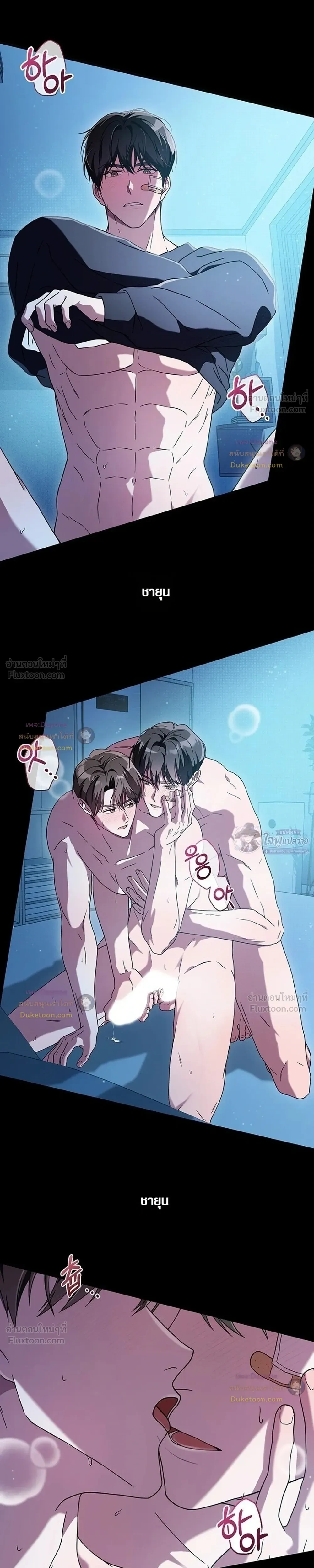 หน้าที่ 11