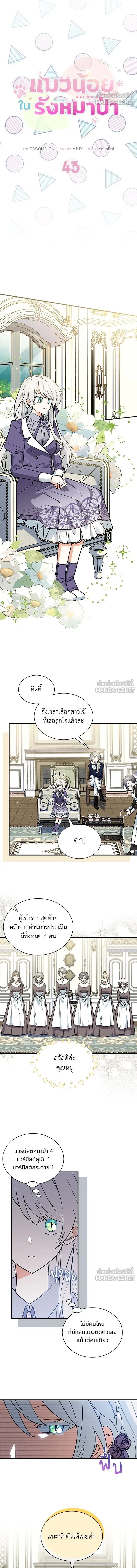 หน้าที่ 3
