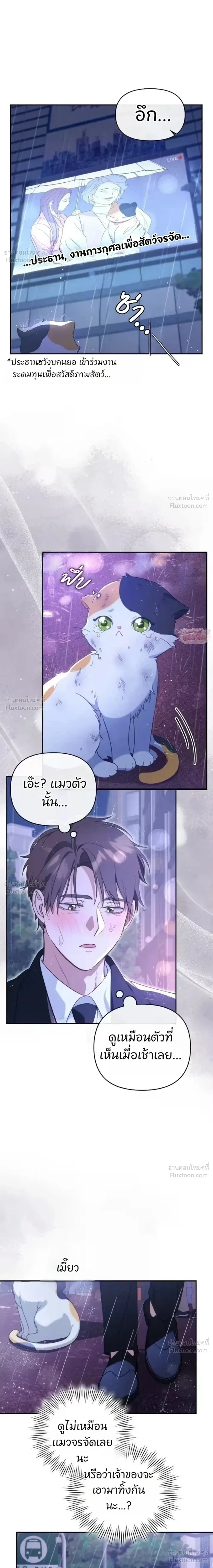 หน้าที่ 23