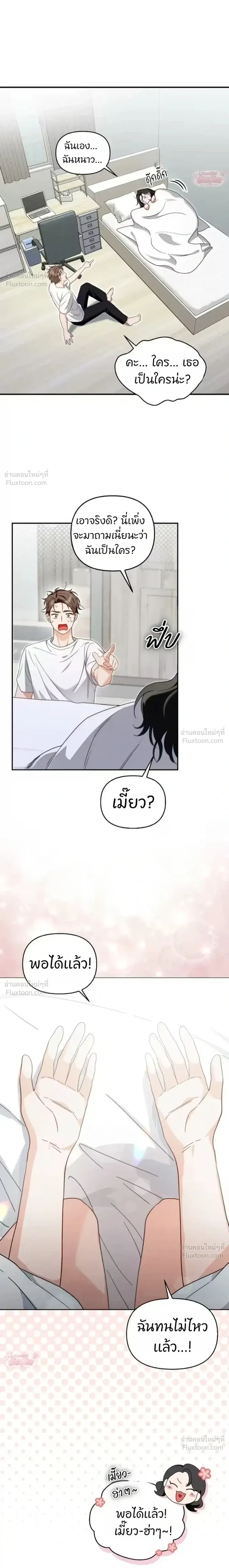หน้าที่ 30
