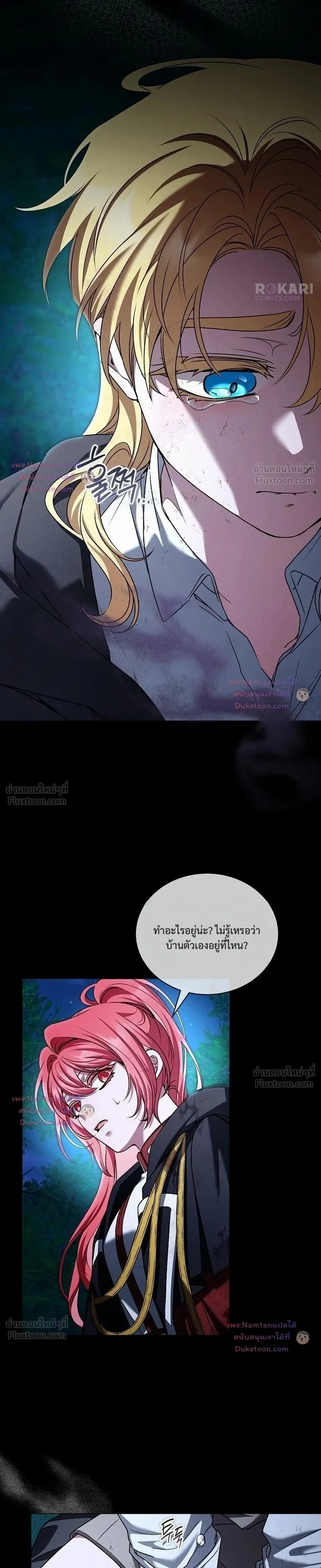 หน้าที่ 13