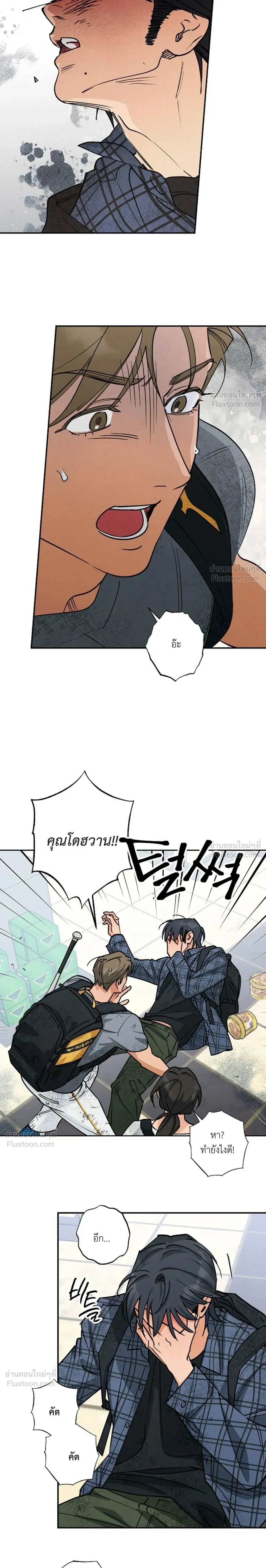 หน้าที่ 13
