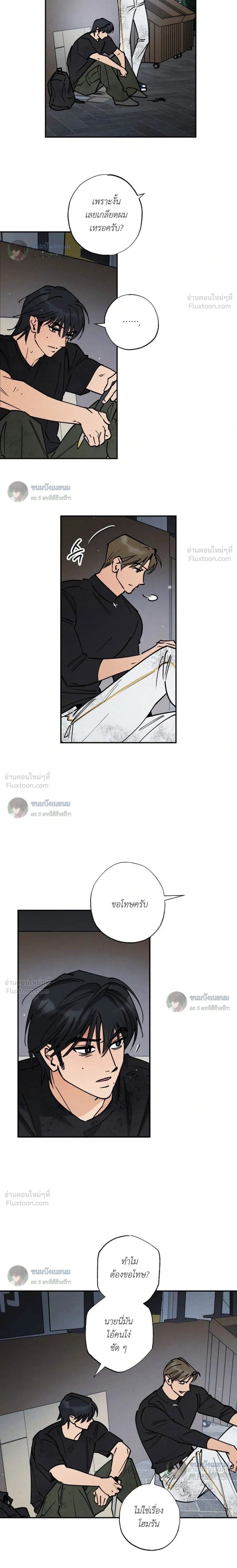 หน้าที่ 13