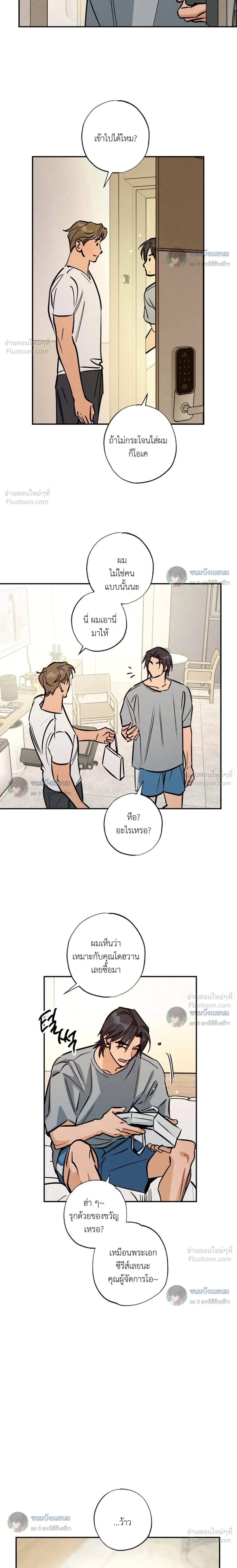 หน้าที่ 13