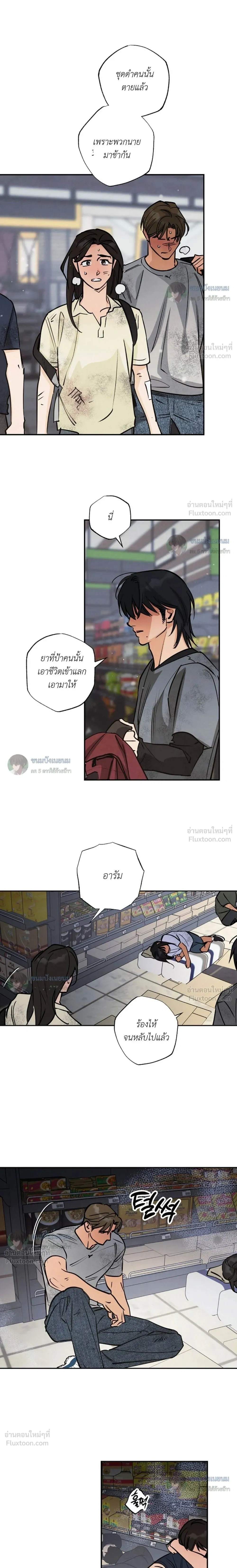 หน้าที่ 13