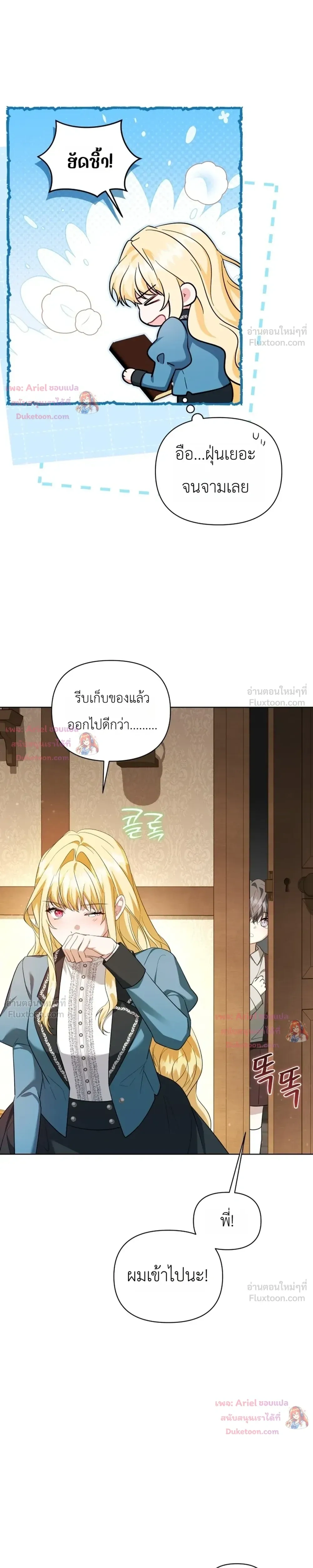 หน้าที่ 17