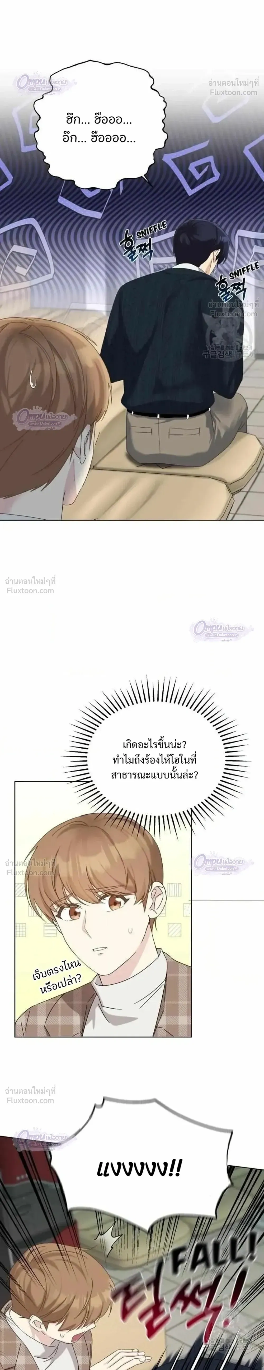 หน้าที่ 17